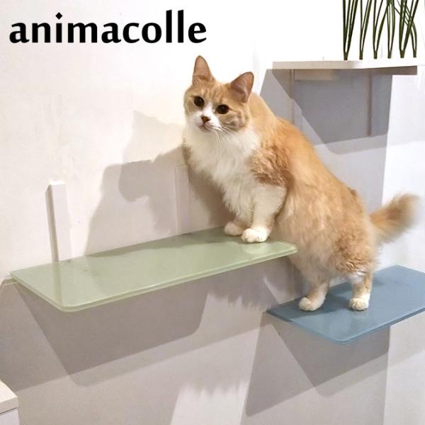 猫 賃貸 小さい穴 キャットステップ カラー キャットタワー キャットウォーク キャットステップ a...