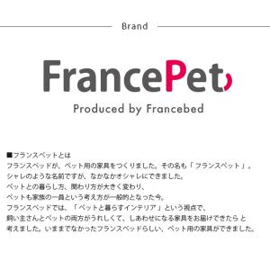 犬 猫 ペット 仏壇 ペット用仏壇 Franc...の詳細画像4