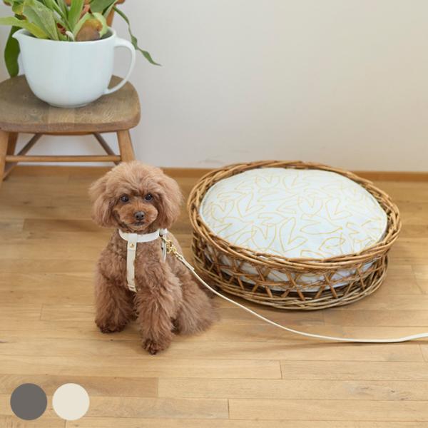 エコレザーを使用した小型犬用ハーネス