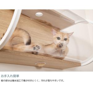 猫用 猫 キャットステップ キャットウォーク ...の詳細画像3