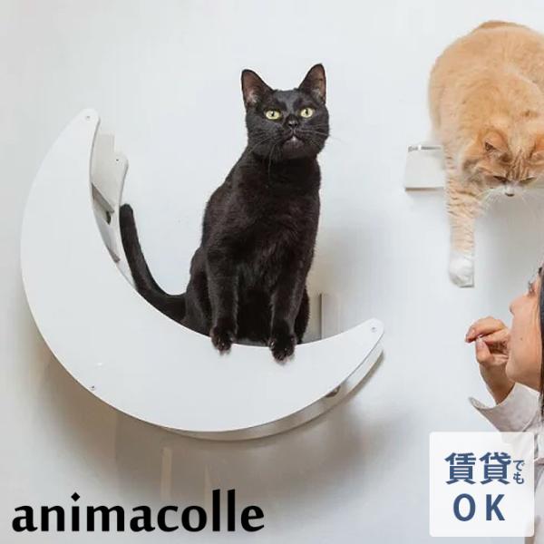 キャットステップ 猫用 猫 ステップ 賃貸 animacolle アニマコレ キャットムーン 爆買