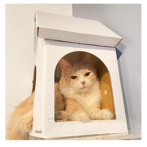 キャットステップ 猫用 猫 ステップ ハウス ...の詳細画像2