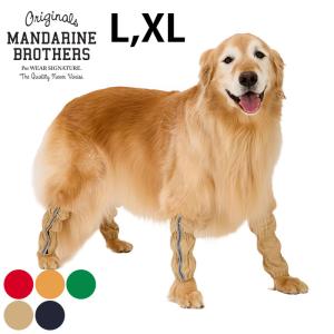 AZ(アゼット)プロフェッショナルドッグフード 成犬用 10kg 小粒