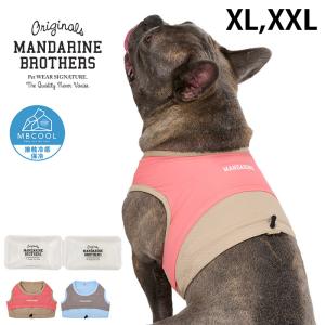 超小型犬 毛皮 コート サファイヤミンク 1号サイズ細め