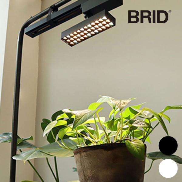植物ライト ダクトレール 電源 室内 インテリア 多肉 植物 園芸 育成 家庭菜園 栽培 BRID ...