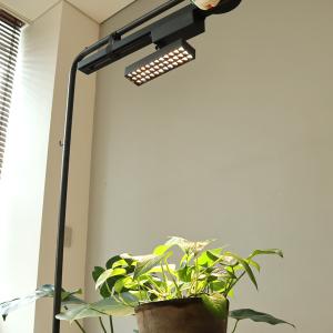 植物ライト ダクトレール 電源 室内 インテリ...の詳細画像1