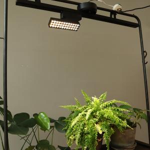植物ライト ダクトレール 電源 室内 インテリ...の詳細画像3