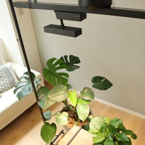 植物ライト ダクトレール 電源 室内 インテリ...の詳細画像4