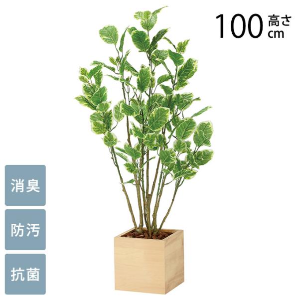 光触媒 フェイクグリーン 消臭 抗菌 ペット フェイクグリーン 鉢植え 大型 ウッドボックス ポリシ...
