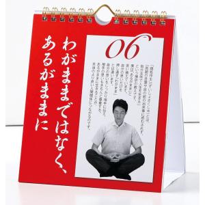 カレンダー 壁掛け 日めくり まいにち、修造!...の詳細画像2