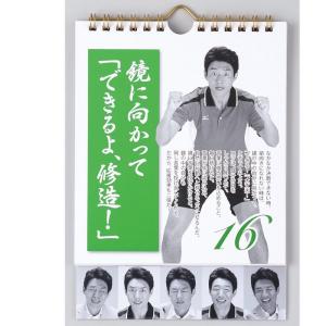 カレンダー 壁掛け 日めくり まいにち、修造!...の詳細画像3