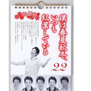 カレンダー 壁掛け 日めくり まいにち、修造!...の詳細画像4