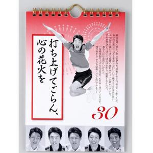 カレンダー 壁掛け 日めくり まいにち、修造!...の詳細画像5