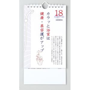 カレンダー 壁掛け 神さまがやどるお掃除 日め...の詳細画像2