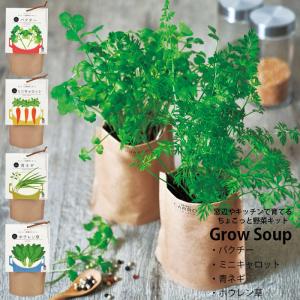 野菜栽培キットの商品一覧 通販 Yahoo ショッピング