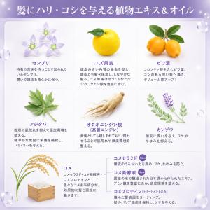 毛根幹細胞培養液+植物性成分配合のサロン仕様ヘ...の詳細画像2