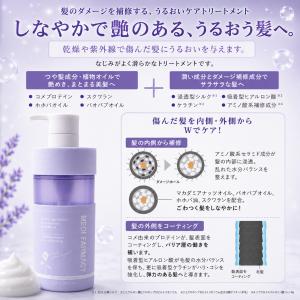 毛根幹細胞培養液+植物性成分配合のサロン仕様ヘ...の詳細画像4
