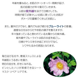 爆買 大容量シートマスク 植物幹細胞 ビフィズ...の詳細画像2