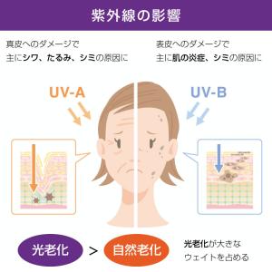 爆買 大容量シートマスク 植物幹細胞 ビフィズ...の詳細画像3