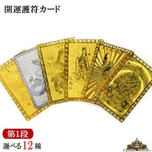 全12種類　開運祈願　カード護符 財神到 関羽雲長 南無観世音菩薩 千手千眼観世音 五本爪皇帝龍 白...