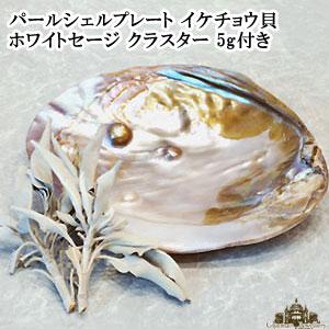 パールシェル プレート イケチョウ貝 浄化用のお皿