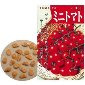 野菜の種 ミニトマト 家庭菜園 野菜作り 農業体験 おすすめ 人気 使いやすい 便利 高評価 レビュー多数