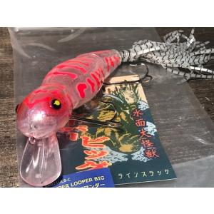 ラインスラックLineSlack セビレSEBIRE 2024年カラー : ウインズヤフー