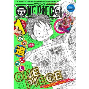 ONE PIECE magazine Vol.17 P-046 ヤマト プロモーションカード付き ワンピースマガジン 17