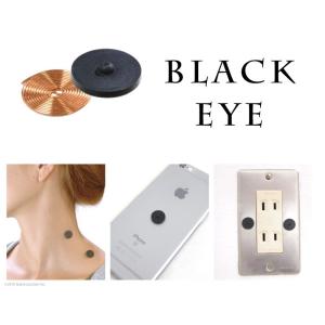 【完売】丸山式 コイル ブラックアイ 6個入り...の詳細画像1