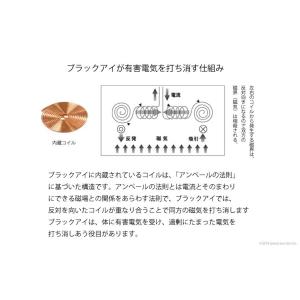 【完売】丸山式 コイル ブラックアイ 6個入り...の詳細画像2