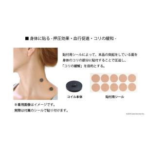 【完売】丸山式 コイル ブラックアイ 6個入り...の詳細画像3