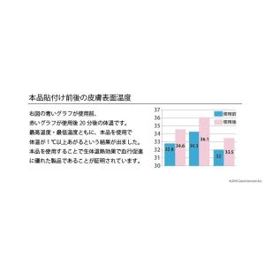 【完売】丸山式 コイル ブラックアイ 6個入り...の詳細画像4