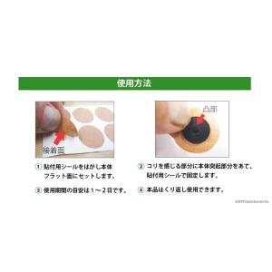【完売】丸山式 コイル ブラックアイ 6個入り...の詳細画像5