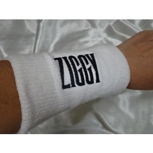 送料185円・H1097■ ZIGGY　ロングリストバンド　森重樹一