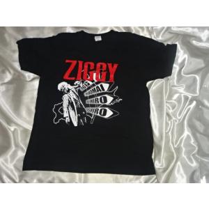 送料185円・H1103■ ZIGGY 森重樹一 Tシャツ　Mサイズ　2023年 北海道ツアー