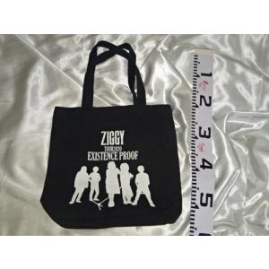 送料185円・H1120■ ZIGGY バッグ TOUR2020