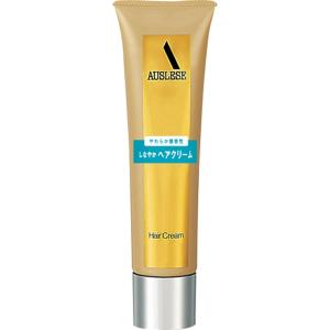 SHISEIDO（資生堂） アウスレーゼ ブリランチンN ポマード 80g : フジ