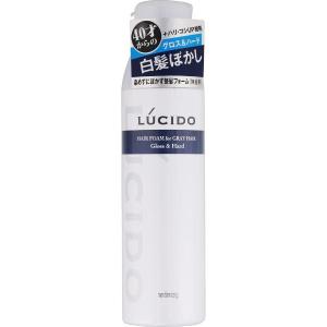 LUCIDO（ルシード）白髪用整髪フォーム グロス＆ハード 185g マンダム｜glambeautique
