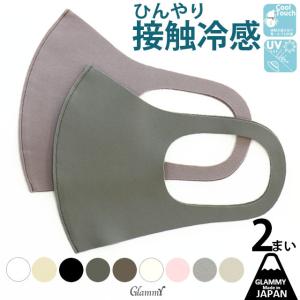 在庫処分 マスク 日本製 2枚入り 東レ 洗える カラー 血色マスク 秋冬 花粉症 UVカット 布マスク 肌色 男性用 メンズ 女性用 レディース メール便送料無料