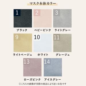 福袋 2026 マスク 不織布 50枚 バイカ...の詳細画像2