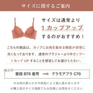 ブラジャー 育乳ブラ 脇肉 グラモアブラ 下着...の詳細画像4