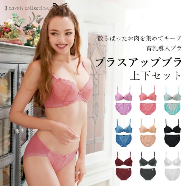 ブラジャー ショーツセット 上下 育乳 ブラ 脇高 小胸 補整 下着 プラスアップブラ サラコレクシ...