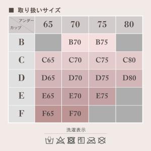 ブラジャー グラモア ヌーディブラ 補正下着 ...の詳細画像4