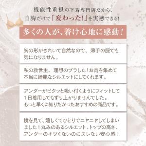 ブラジャー グラモア ヌーディブラ 補正下着 ...の詳細画像5