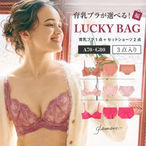 ブラジャータイプが選べる3点入り LUCKY BAG 福袋 人気 ブラ (ブラジャー1点＆ショーツ2点） 返品交換不可 FT1015