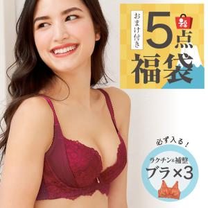 福袋 グラモアブラ 育乳  ブラジャー 下着 レディース グラモア 補正ブラ 脇高 脇肉 セット FT1112 交換可・返品不可