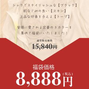 福袋 グラモアブラ 鉄板カラー 3枚入り 育乳...の詳細画像1
