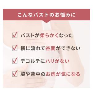 ブラジャー アウトレット 脇高 育乳ブラ 脇肉...の詳細画像5