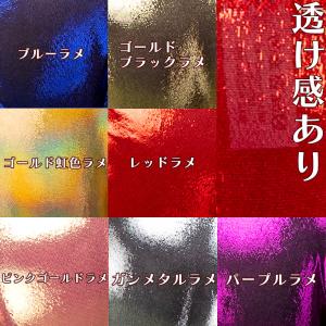 Tバック セクシー レディース 日本製 ハイレ...の詳細画像2