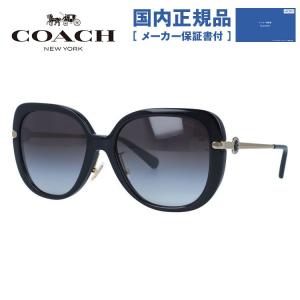 Ray-Ban（レイバン） RB3532 003/30 RayBan UVカット サングラス 正規